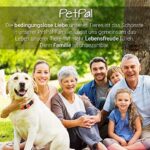 Hundeball mit Zahnpflege-Funktion Noppen Hundespielzeug PetPäl – Bild 6
