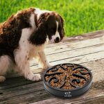 Hund Hundenapf Langsame Fütterung – Bild 6