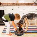 Hund Hundenapf Langsame Fütterung – Bild 7