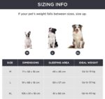 Bedsure orthopädisches Hundebett für grosse und kleine Hunde – Bild 2