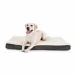 Bedsure orthopädisches Hundebett - Hundekissen flauschig Hundematte waschbar