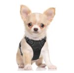 Hundegeschirr, Einstellbar für kleine und grosse Hunde