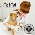 Profi Krallenschere für Hunde & Katzen – Sicherer Schnitt mit Abstandshalter – Bild 3