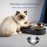Futternapf, Erhöhte Edelstahl Schüssel für Hunde und Katzen – Bild 5