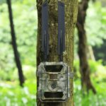 LTE 4G Wildkamera 12Megapixel ultraschnelle Reaktionszeit, 100% Wasserdicht, Freeze Technologie, Gratis 32GB – Bild 5