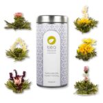 tea exclusive - Teeblumen-Mix "Flower Fantasy", 6 verschiedene Teeblumen in schoener Metalldose, mit Foto-Booklet und Spruechen - gruener u. weisser Tee mit Jasmin, Rose, Pfingstrose, Ringelblume, Hibiskus - Teegeschenk