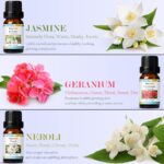 SALKING Ätherische Öle Set – 6x10ml Duftöle für Aromatherapie & Geschenkideen