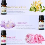 SALKING Ätherische Öle Set – 6x10ml Duftöle für Aromatherapie & Geschenkideen