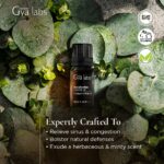 Gya Labs Eukalyptusöl für Atmung - Reine Ätherisches Öl Eukalyptus Öl für Gesundheit und Kopfschmerzen - 100 Naturreine für Diffuser Aromatherapie, Aromaöl und Duftöl - 10ml – Bild 2