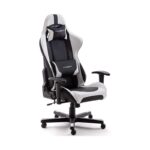 Robas Lund DX Racer 6 OH/FD32/NW Gaming Stuhl XXl für Grosse Gamer bestens geeignet, mit Wippfunktion Gamer Stuhl Höhenverstellbarer Drehstuhl PC Stuhl Ergonomischer Chefsessel, schwarz-weiss