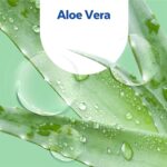 Sagrotan No-Touch Nachfüller Aloe Vera – für den automatischen Seifenspender – 5 x 250 ml Handseife im praktischen Vorteilspack – Bild 8