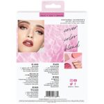 Real Techniques Everyday Essentials Make up Pinsel, Komplettset für das Gesicht (Gesichtsschwamm, Gesichts, Rouge, Setting und Deluxe Lidfaltenpinsel) – Bild 2