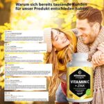 Vitamin C hochdosiert 1000 mg + Zink, vegan & optimal bioverfügbar, 180 Tabletten für 6 Monate, Natürliche Nahrungsergänzung ohne unnötige Zusatzstoffe – Bild 5