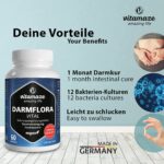 Darmflora Vital Kapseln hochdosiert magensaftresistent, 60 vegane Kapseln Probiotika für 1 Monat Darmkur mit 12 aktiven Darm-Bakterien-Kulturen + Inulin, 16,2 Mrd. KBE pro Tag – Bild 8