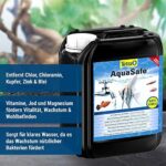 Tetra AquaSafe, Qualitäts Wasseraufbereiter für fischgerechtes und naturnahes Aquariumwasser – Bild 3