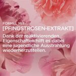 L'Oréal Paris Nachtpflege, Age Perfect Golden Age, Anti Aging Gesichtspflege, Festigung und Glanz, Für reife und fahle Haut, Mit Pfingstrosen Extrakt, 50 ml – Bild 3