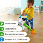 Fisher-Price DLD94 - Lern mit mir - Zebra Lauflernwagen, musikalisches Aktivitäts- und Gehspielzeug mit Lerninhalten, ab 6 Monaten (deutsche Version) – Bild 7