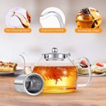 Teekanne mit Siebeinsatz, STNTUS Teekanne Glas, Teekanne mit Sieb, Glas Teekanne mit Teesieb, Tee Kanne, Teebereiter, Glaskanne Hitzebeständig, Teekannen, Borosilikatglas Glaskanne – Bild 2
