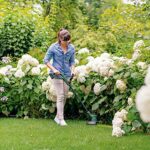 Bosch Home and Garden - Bosch Rasentrimmer EasyGrassCut – Bild 6