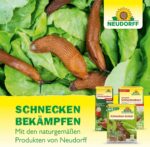 Neudorff Ferramol Schneckenkorn. Zuverlässiger und schneller Schneckenschutz