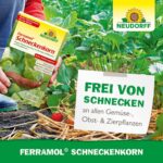 Neudorff Ferramol Schneckenkorn – Bild 7