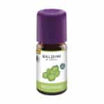 Patchouli
