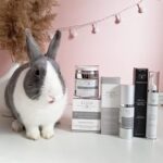 Kleem Organics | BIO Vitamin C Serum Gesicht mit Hyaluronsäure – Bild 9