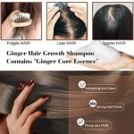 Haarshampoo, Haarwachstum Shampoo, Anti Haarausfall Shampoo, Anti Haarverlust Shampoo, Natürlicher Ingwershampoo Für Schnelleres Nachwachsen der Haare/Verhindert Haarausfall Für Männer und Frauen – Bild 2