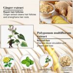 Haarshampoo, Haarwachstum Shampoo, Anti Haarausfall Shampoo, Anti Haarverlust Shampoo, Natürlicher Ingwershampoo Für Schnelleres Nachwachsen der Haare/Verhindert Haarausfall Für Männer und Frauen – Bild 4