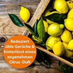 ARDAP Biotonnen-Pulver 500g, Gegen Fliegen, Maden, Ungeziefer & üble Gerüche, Entzieht Feuchtigkeit & verhindert Schimmel – Bild 5