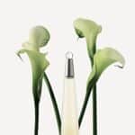 Issey Miyake L'Eau D'Issey femme/woman, Eau de Toilette, Vaporisateur/Spray – Bild 3