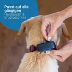 Tractive GPS DOG 4. Tracker für Hunde. Empfohlen von Martin Rütter. Immer wissen, wo dein Hund ist. Halte ihn mit Aktivitätstracking fit. Unbegrenzte Reichweite – Bild 7