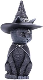Nemesis Now Purrah Hexenhut Okkulte Katze, schwarz, 13,5 cm – Bild 4