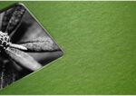 Hama Fotoalbum, Spiral-Album mit 50 schwarzen Seiten, Fotobuch mit Pergamin-Trennblättern, Album zum Einkleben und Selbstgestalten – Bild 6