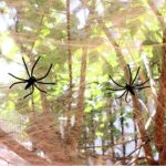 MAXEE  Halloween Spinnennetz Dekoration Satz for Halloween Party – Bild 5