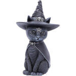 Nemesis Now Purrah Hexenhut Okkulte Katze, schwarz, 13,5 cm