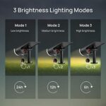 Linkind LED Solarleuchte StarRay – 800 lm, 3000 K, IP65, Dämmerungssensor, Aussenwandleuchte – Bild 3