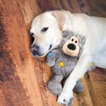 KONG, Wild Knots Bear, Innere Geknotete Seile und Minimale Füllung für Weniger Unordnung, Für Kleine/Mittelgrosse Hunde – Bild 2