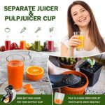 AMZCHEF Slow Juicer Entsafter Gemüse und Obst Profi Entsafter mit Ruhiger Motor & Umkehrfunktion & Saftkanne & Reinigungsbürste – Bild 7