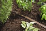 Gardena Schlauch-Regner Feiner Sprühregner für die Bewässerung länglicher, schmaler Zonen, anschlussfertig ausgestattet, individuell verkürz- oder verlängerbar – Bild 3