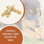 Wildfang® Kauwurzel aus Kaffeeholz für Hunde I natürliches Hundespielzeug Holzknochen, Kaustab, Kaustange, Kauknochen, Zahnpflege, Kaumuskel Training I zum Stressabbau – Bild 3