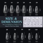 Gelike ec Nageltips 552 Stück Fake Nails Transparent, Künstliche Nägel Zum Aufkleben Nail Art Starter DIY – Bild 4
