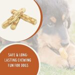 Wildfang® Kauwurzel aus Kaffeeholz für Hunde I natürliches Hundespielzeug Holzknochen, Kaustab, Kaustange, Kauknochen, Zahnpflege, Kaumuskel Training I zum Stressabbau – Bild 4