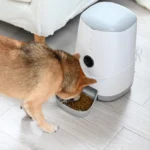 Smart Haustierfutterautomat Nutri Vision mit Kamera & WLAN – Bild 5
