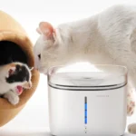 Smart Trinkbrunnen für Katzen & Hunde mit TDS-Sensor – Bild 2