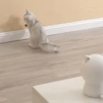 Pet Laser Spielzeug