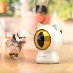 Interaktives Katzen Spielzeug