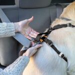 Kurgo Tru Fit Hundegeschirr, Crash Test erprobtes Auto Sicherheitsgurt, Für Hunde – Bild 7