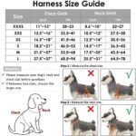 SlowTon Hundegeschirr mit Sicherheitsgurt Double luftdurchlässiges Latex-Gittergewebe Geschirr reguläre Reisenweste Autosicherheitsgurt für alle alltäglichen sportlichen Aktivitäten dem Vierbeiner – Bild 6