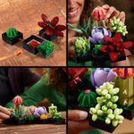 LEGO 10309 Icons Sukkulenten, Botanical Collection Set für Erwachsene zum Basteln, Zimmerdeko mit 9 künstlichen Mini-Pflanzen, Home Deko mit Blumen – Bild 3